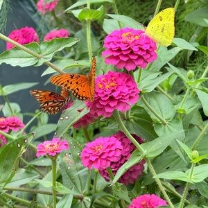 Kids listings ➡️